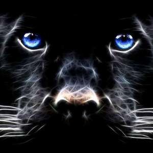 Meet your Posher, Pam